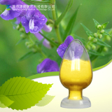 	factory supply natural scutellaria extract baicalin