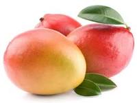 ripe mango with red and yellow colour